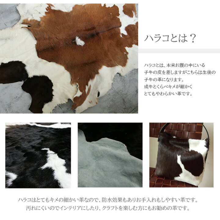 楽天市場】＼セール開催中！10(木)AM2時迄／ 在庫限り 売り切り 送料 