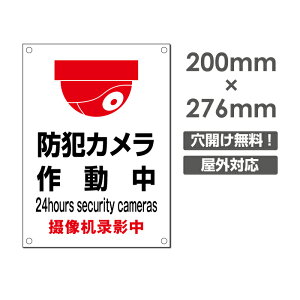 �y�h�ƃJ�����쓮���zW200mm×H276mm �s�@���� �Ď��J���� �쓮�� �Ď��� 24���� �^�撆 ���O �I�[�_�[ �Z�L�����e�B�Ŕ� �G�g�Z�g�� ���O�S�~�̂Ė��f�s�זh�~�΍� ���L�n �}���V�����Ǘ� camera-