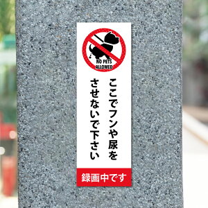 _yVX[p[Z[+P10{I^yŃtAȂŉzW100mm×H300mm xŔ v[g ybg̃tA֎~Au֎~ Ŕ \ v[gŔ U inu-01