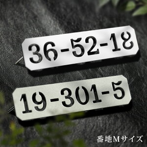 sh-s0004\DpԒnMFW80×H20i8ȓjv[g ˌ  XeX \D XeX ؂蕶 Ԓnv[gZ\ sh-s0004-mbc