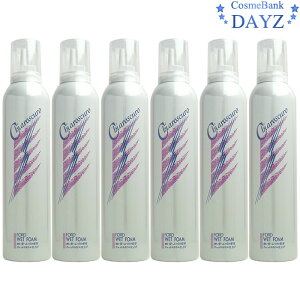 tH[h EFbgtH[L 300g 6_ZbgbwAX^CO܁by~Ar[eB[^OYƁz