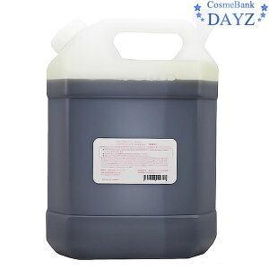 RXbN i`n[g ӂ 4000mL lߑւp | wAg[gg | What ӂ |