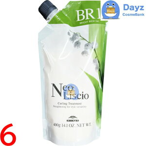 ~{ lIVI BR 1st (uCgb`) 400g@6_Zbg@b@kы / ܁@b@Xg[g  p[}  Ɩp