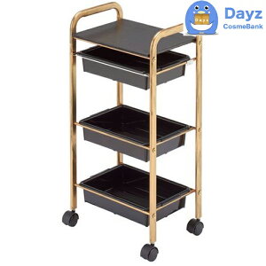 C-600 AeB[NZbgS r[iX@ubN@LX^[t@b@TS@b@[J[i [vmF / LZEԕisi@b@RB