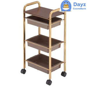 C-600 AeB[NZbgS r[iX@uE@LX^[t@b@TS@b@[J[i [vmF / LZEԕisi@b@RB