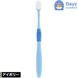 v`iim uV manmou AC{[@uV Ԃ炵  v`iimq