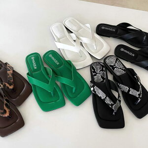 T_ fB[X r[`T_ gOT_ tbg XNGAgD ؂  Ђ傤 pC\ ؍ [֑