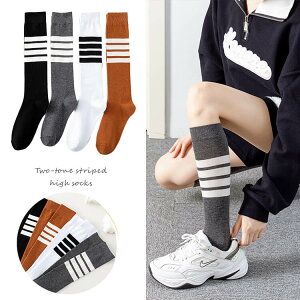 nC\bNX fB[X {[_[ C  C H ~ t Xgb` ʊw St St\bNX StEFA oCJ[ ؍  JWA X|[eB JK ʊw XN[ 