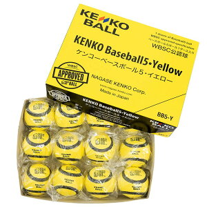 [J[񂹁A󒍌݌ɂ̗LԎ܂BBB5-YPR[x[X{[5CG[1_[X(12)