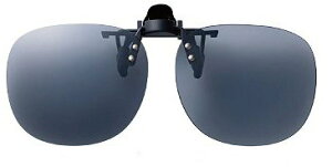 SWANS �N���b�v�I�� SCP-21