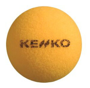 [J[񂹁B󒍌݌ɂ̗LA܂BPR[PbgejX{[1_[X