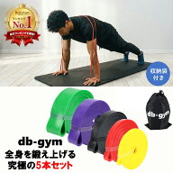 db-gym トレーニングチューブ 懸垂補助 ゴムチューブ トレーニングゴム トレーニング用チューブ トレーニ…