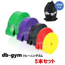 db-gym トレーニングチューブ 懸垂補助 ゴムチューブ トレーニングゴム レジスタンスバンド エクササイズバンド 筋トレ チューブトレーニング トレーニングゴムセット