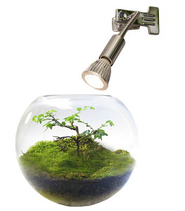 水槽用照明 植物育成 Ledライトの人気商品 通販 価格比較 価格 Com