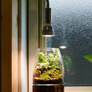 観葉植物 Led 植物育成の人気商品 通販 価格比較 価格 Com