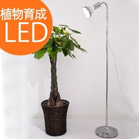 楽天市場 観葉植物 植物育成ライトの通販