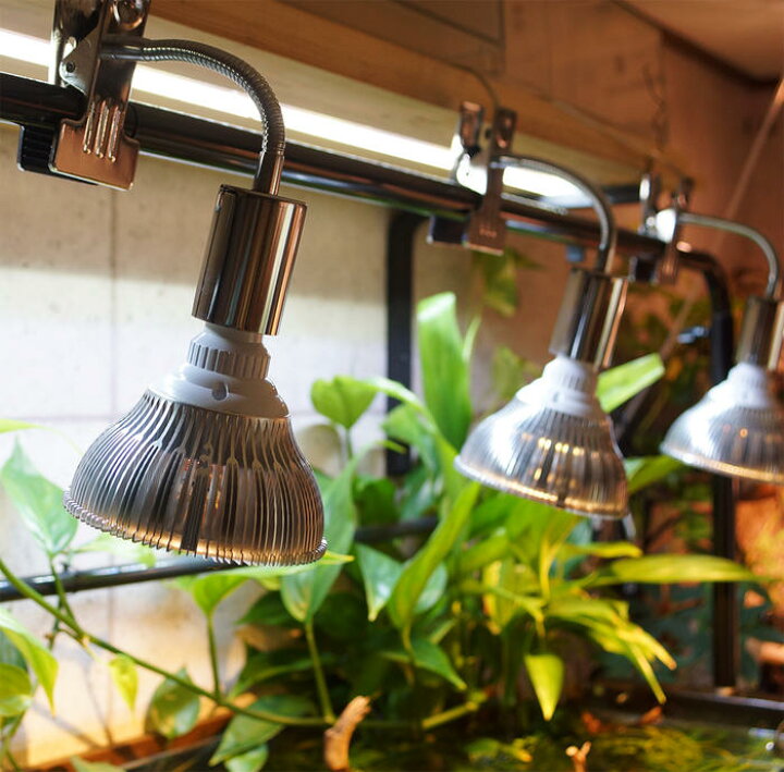 楽天市場】BARREL公式 植物育成LED 【SUN-18W×E26 PLANT CLIP-A 