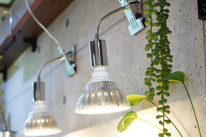 楽天市場 植物育成led Plantlight18w 白色クリップタイプ Sun 18w プラントクリップa 観葉植物 植物栽培ライト Shopbarrel