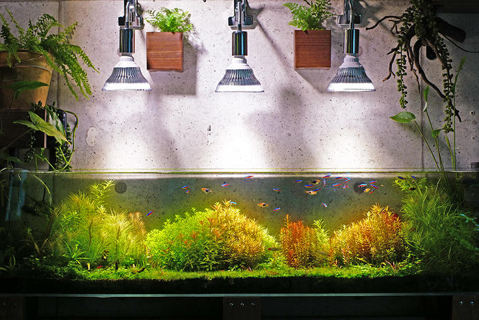 楽天市場 植物育成led Plantlight18w 白色クリップタイプ Sun 18w プラントクリップa 観葉植物 植物 栽培ライト Shopbarrel