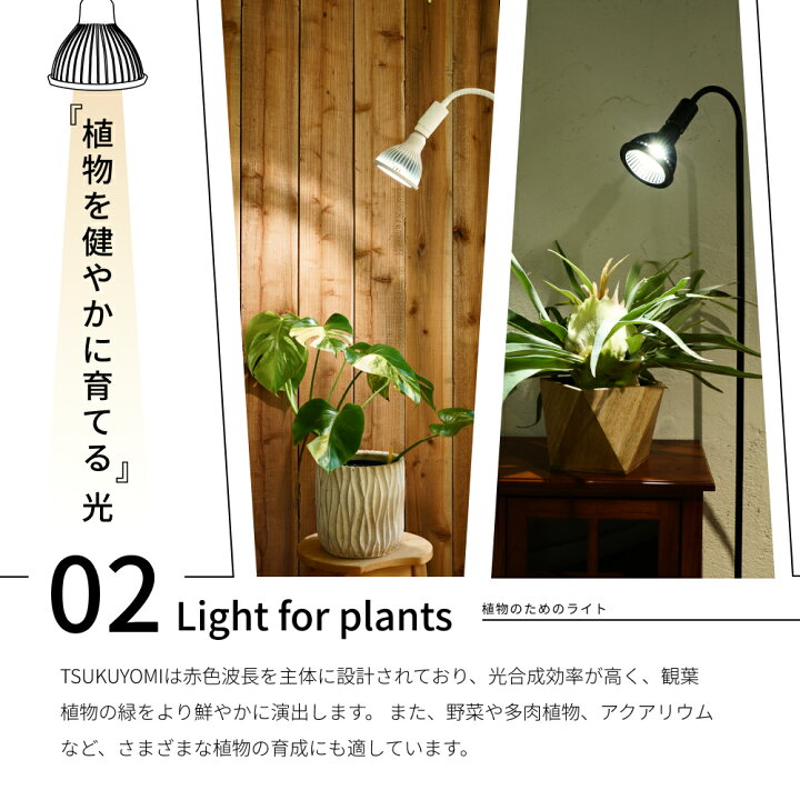 楽天市場】【3年保証】BARREL公式 植物育成LEDライト 【 TSUKUYOMI LED 