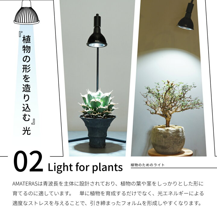 楽天市場】【3年保証】BARREL公式 植物育成LED ライト 【NEO AMATERAS 