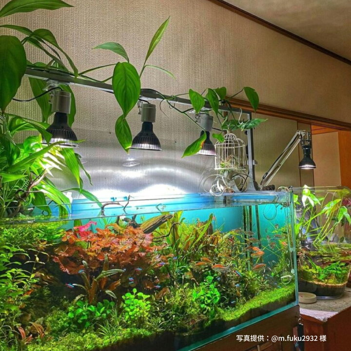 楽天市場】【3年保証】BARREL公式 植物育成LED ライト 【NEO AMATERAS 