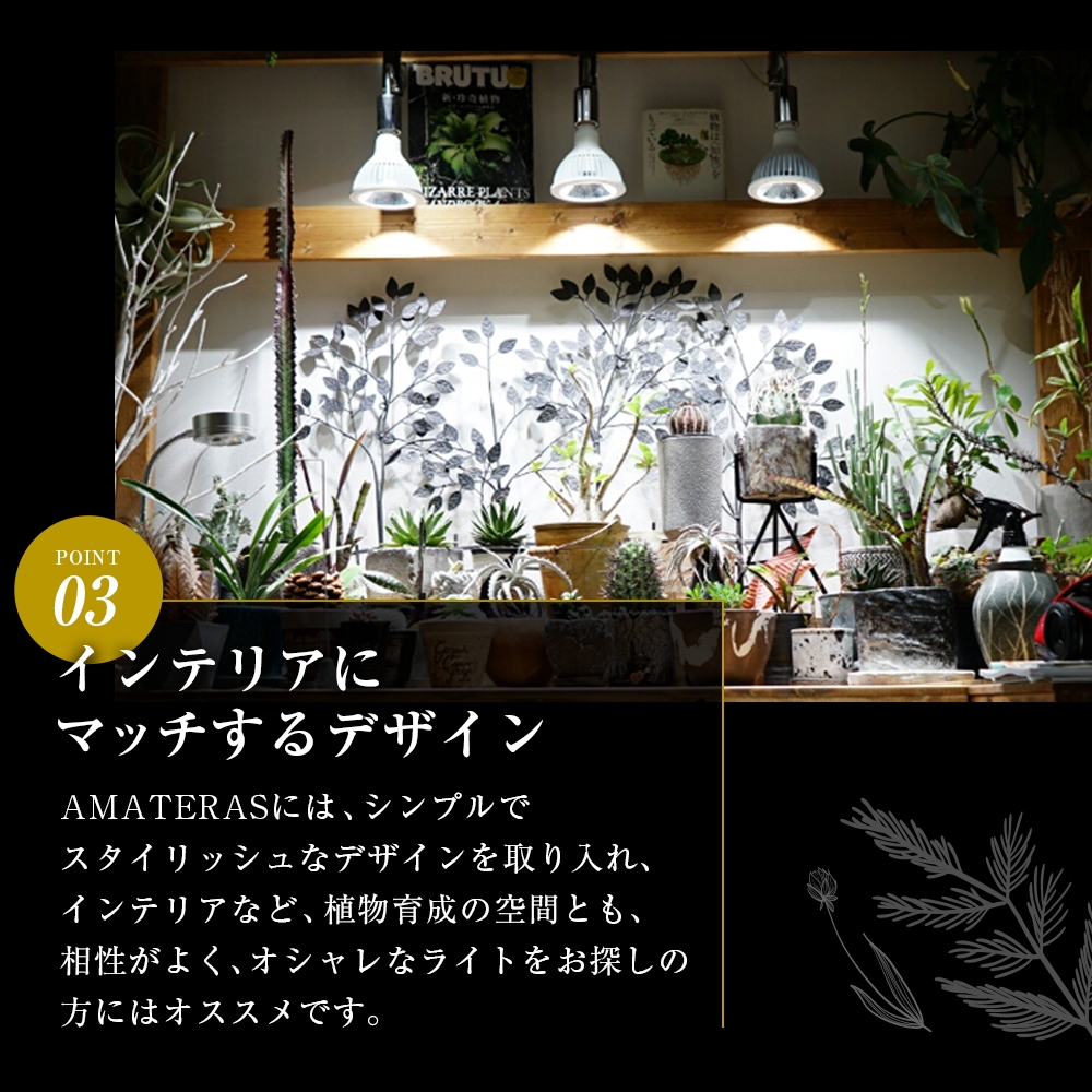 海外限定 植物ライト×3 アマテラス pinkandbird.com