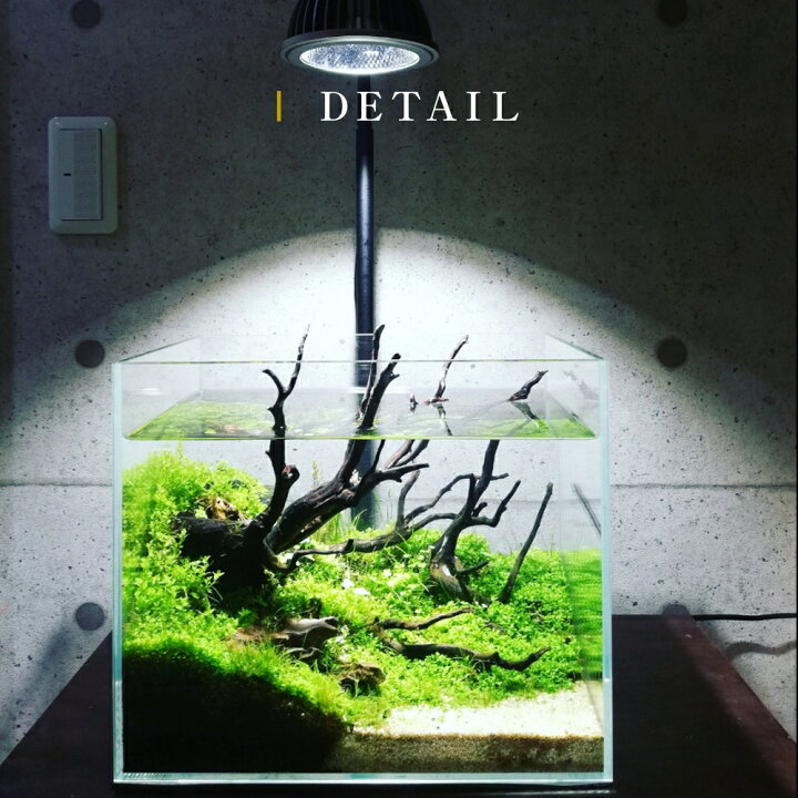 楽天市場 Amateras Led w 植物育成led 太陽光led アクアリウムled テラリウム 室内太陽光led ブラックボディ Shopbarrel 楽天市場 Amateras Led w 植物育成led 太陽光led アクアリウムled テラリウム 室内太陽光led ブラックボディ Shopbarrel