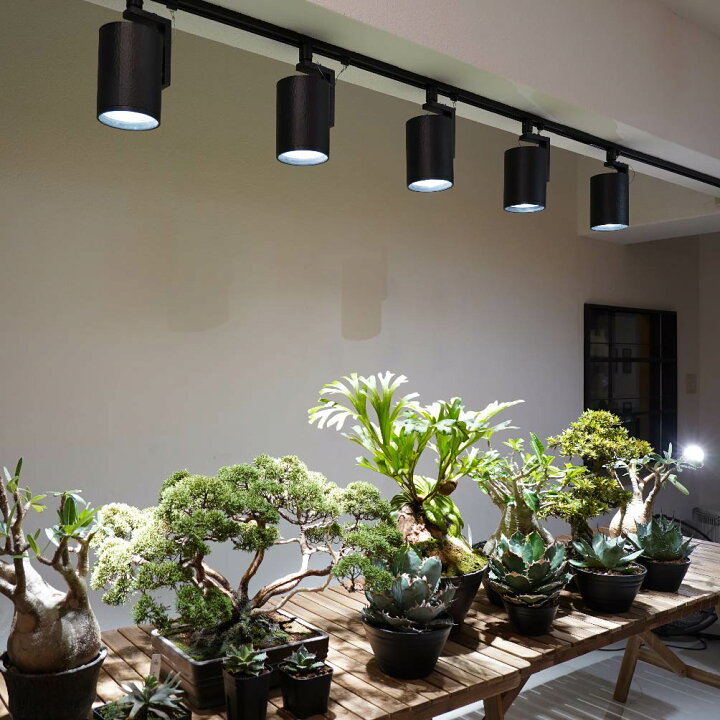 楽天市場】【3年保証】BARREL公式 植物育成ライト LED 【HADES LED 45W 