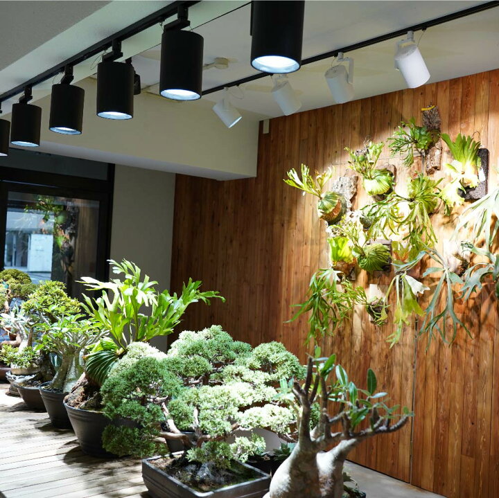 楽天市場】【3年保証】BARREL公式 植物育成ライト LED E26【HADES LED 