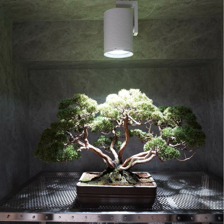 楽天市場】【3年保証】BARREL公式 植物育成ライト LED E26【HADES LED 
