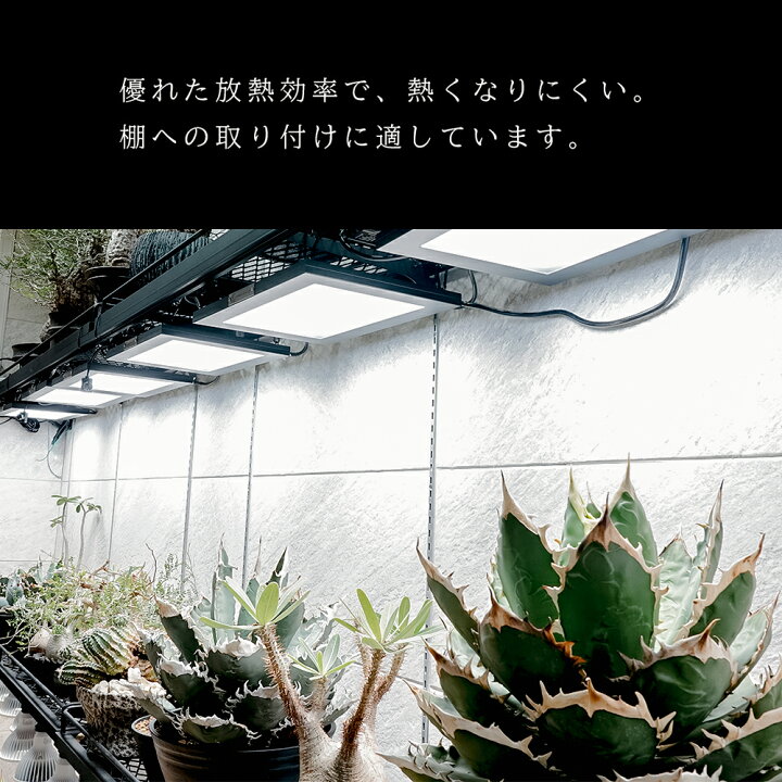 楽天市場】【3年保証】BARREL 植物育成 LED パネルライト【ROKI‐350 