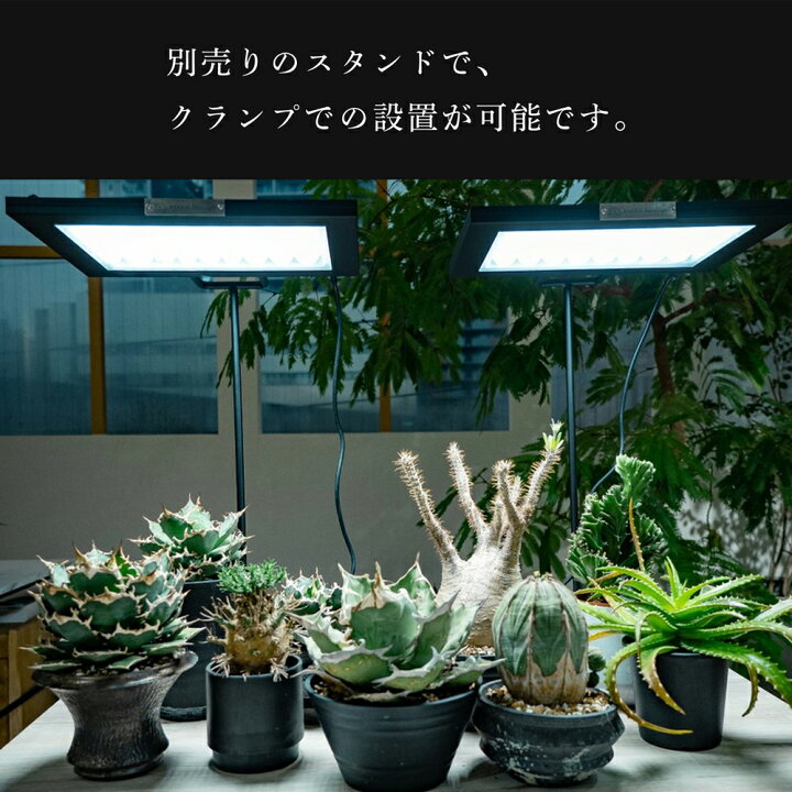 楽天市場】【3年保証】BARREL 植物育成 LED パネルライト【ROKI‐350 