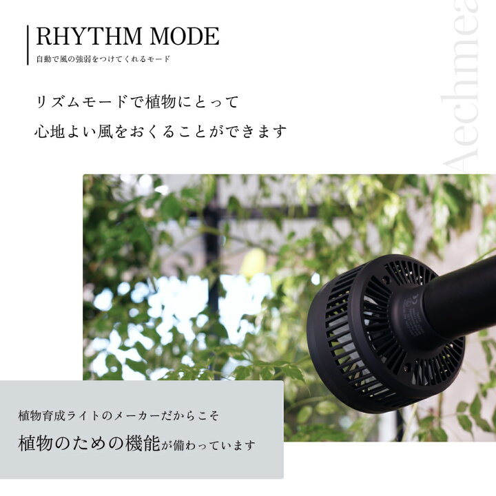 楽天市場】BARREL公式 小型ファン 送風機 植物育成 【Aechmea 