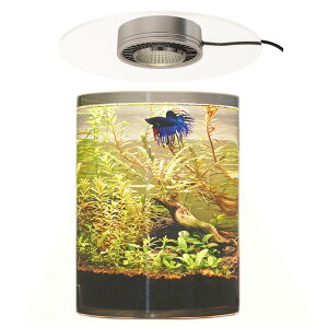 水槽用照明 植物育成led ペットの人気商品 通販 価格比較 価格 Com