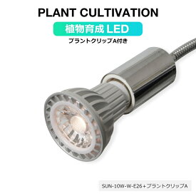 楽天市場 植物育成 Led 白の通販