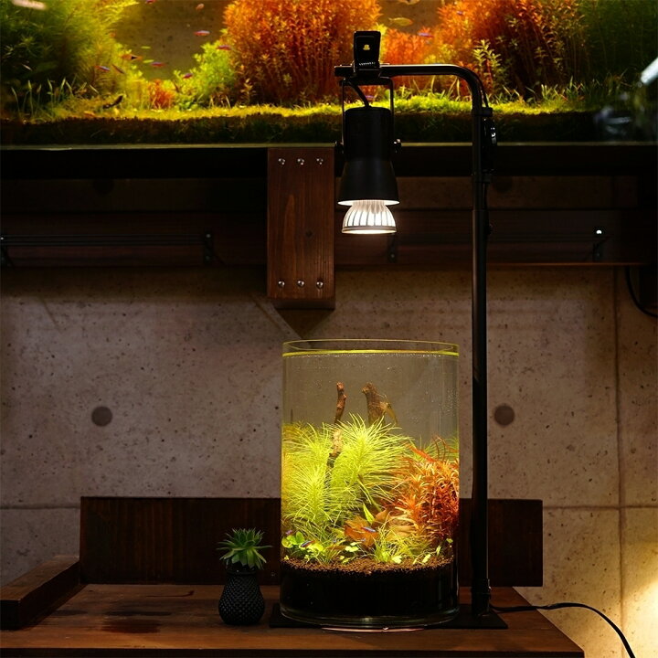 楽天市場 植物育成led Sun 10w E26 Plant Clip A セット販売 Shopbarrel
