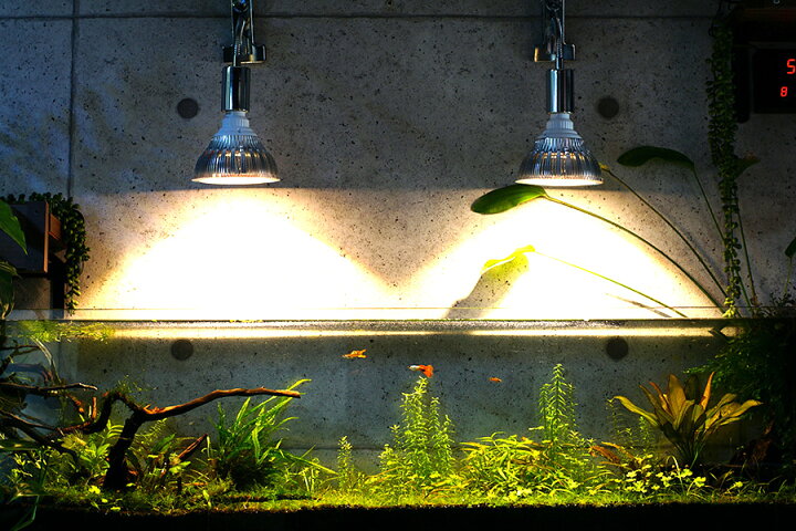 楽天市場】【植物育成LED SUN-20W-W】白色電球 口径E26(PLANTLIGHT20W-W) : SHOPBARREL 楽天市場】【植物育成LED SUN-20W-W】白色電球 口径E26(PLANTLIGHT20W-W) : SHOPBARREL