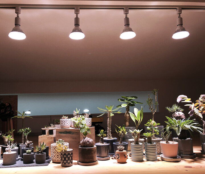 人工太陽 植物育成 LED SUN 18w E26 クリップ BARREL（楽天市場 