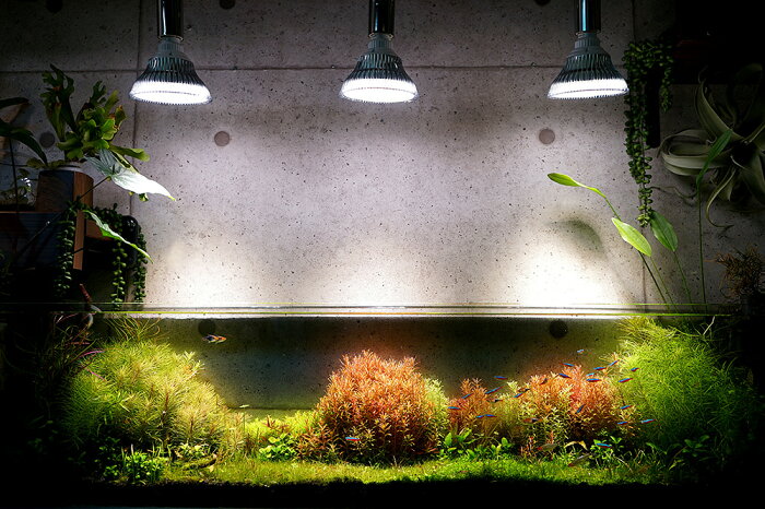 楽天市場 植物育成led Sun 18w 白色電球 口径e26 Plantlight18w 観葉植物 植物栽培ライト 電球のみ Shopbarrel
