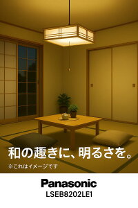 yH̓XZ[IIzPanasonic LEDay_gCg LSEB8202LE1s|V[OtȒPt