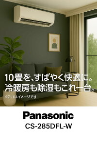 [GAR10psî݁tPanasonic pi\jbN F CS-285DFL-W