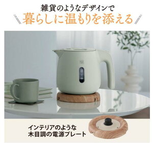 ZOJIRUSHI dCPg 0.6L CK-SA06-HZiThO[jCK-SA06-GZi_XeBO[j炵ɊYAĜ݂悤ȓdCPgyMtgzykCeAzyzyz