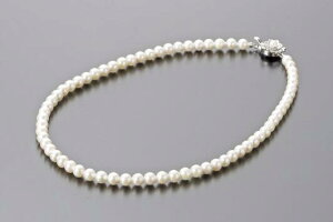 p[Ep[EREx AR{^lbNX NS6biȋPœʂȏuԂʂ遙