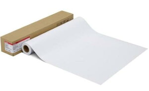 (A) Lm LFM-SGLU_42_260 yp唻v^pʐ^pz