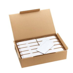 (A) Lm 3519A017 y̑TvC֘Az