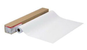 (A) Lm LFM-GPH_B2_170 yp唻v^pʐ^pz