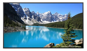 SHARP@PN-ME752@75V^AndroidCtH[VfBXvC󒍐Y