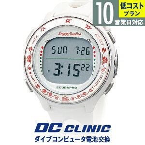 �yLow-cost 10�c�Ɠ��Ή��z�_�C�u�R���s���[�^�d�r����+�ԑ����������̃Z�b�g���i�I