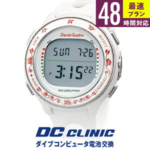 �yUltra Express 48���ԑΉ��z�_�C�u�R���s���[�^�d�r����+�ԑ����������̃Z�b�g���i�I�S�����������I